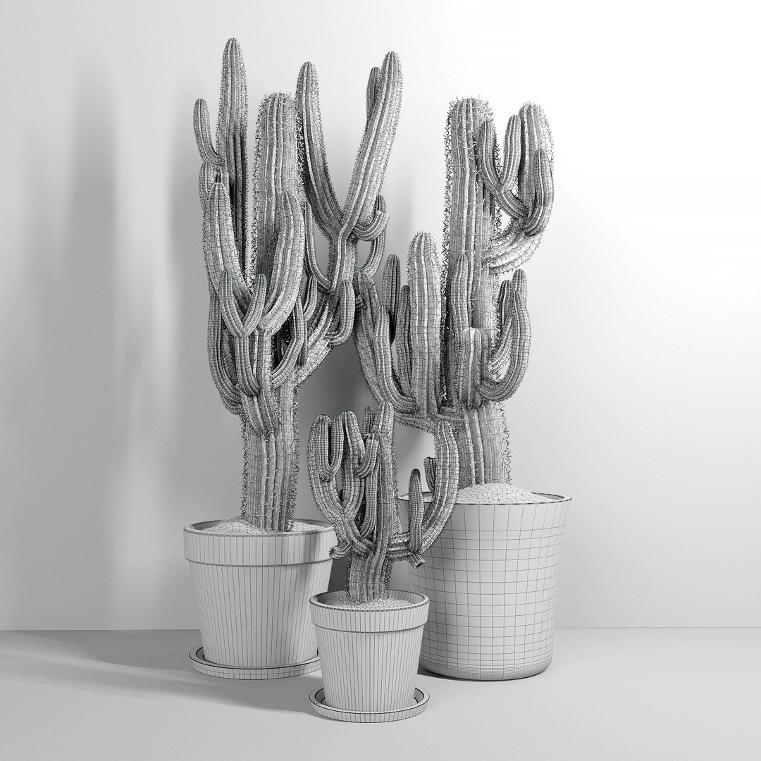 3D model cactus https://p.turbosquid.com/ts-thumb/bU/3QQTm2/Lna7EWjJ/setofthreecactusescarnegiea_02grid/jpg/1551547145/1920x1080/fit_q87/096dab6f7752d281a67ddb2d820fab7a883cba6e/setofthreecactusescarnegiea_02grid.jpg