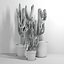 Set of Three Cactuses Carnegiea