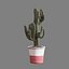 Set of Three Cactuses Carnegiea