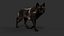 Black Timber Wolf Pelliccia animata