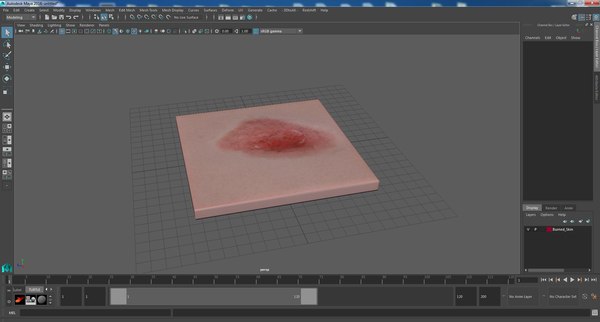 modelo 3d Piel quemada - TurboSquid 2159253