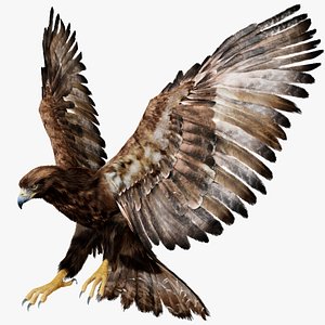 goldenEagle 3D