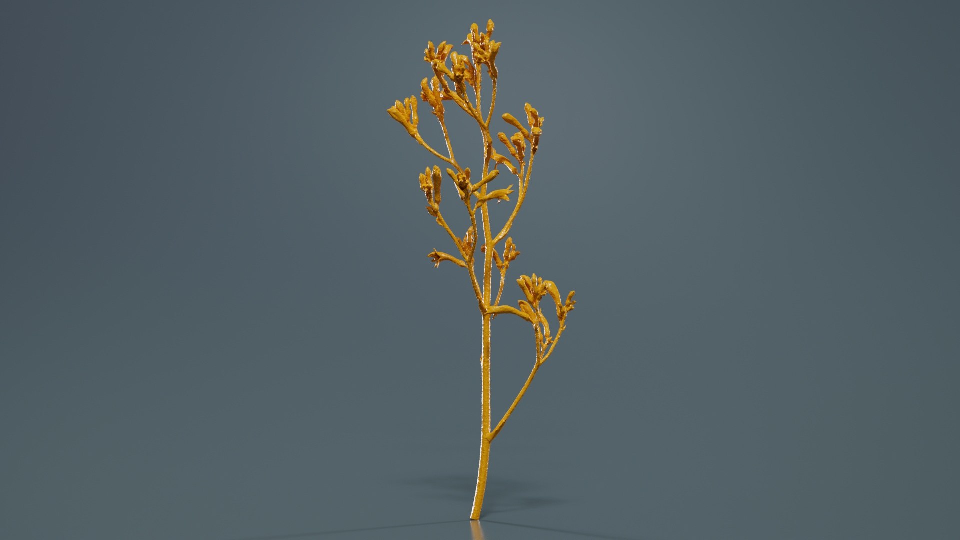 3D Tall Kangaroo Paw Australian Sword Lily Anigozanthos Flavidus Remastered https://p.turbosquid.com/ts-thumb/bU/ostaKq/Vf/tall_kangaroo_paw_australian_sword_lily_anigozanthos_flavidus_13/jpg/1740400092/1920x1080/fit_q87/fcf53bd81ae4caa35a642f1f16f7ea4635228802/tall_kangaroo_paw_australian_sword_lily_anigozanthos_flavidus_13.jpg
