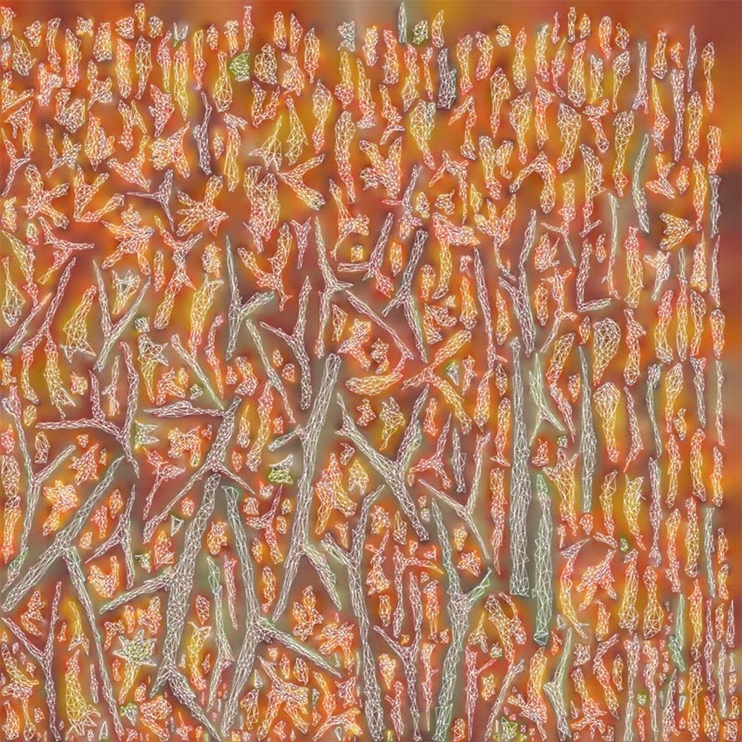 3D Tall Kangaroo Paw Australian Sword Lily Anigozanthos Flavidus Remastered https://p.turbosquid.com/ts-thumb/bU/ostaKq/aZ/tall_kangaroo_paw_australian_sword_lily_anigozanthos_flavidus_uv/jpg/1740400092/1920x1080/fit_q87/393ca7c4672529b4cf822077c1994b7af6a31024/tall_kangaroo_paw_australian_sword_lily_anigozanthos_flavidus_uv.jpg