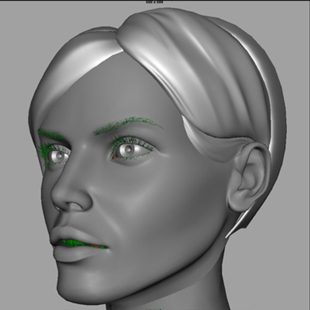 Head Eyes Hair 3d Model