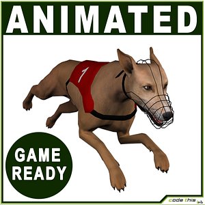 Greyhound Dog Real-Time