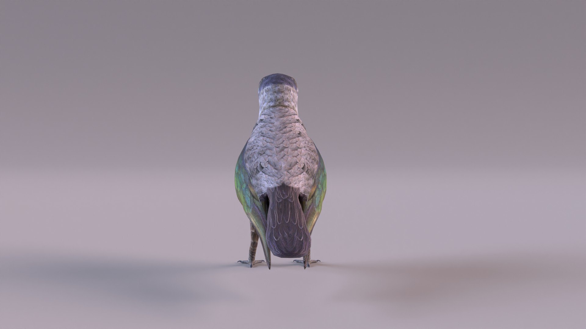 3d model cuckoo https://p.turbosquid.com/ts-thumb/bV/25QqY4/wj/cuckoo_0008/jpg/1651505168/1920x1080/fit_q87/14e8334c792835a15d221b5b637b426c2f0edc59/cuckoo_0008.jpg