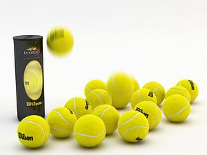 tennis ball max