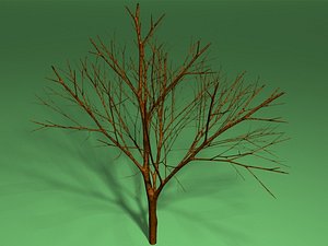 lightwave tree lightwave