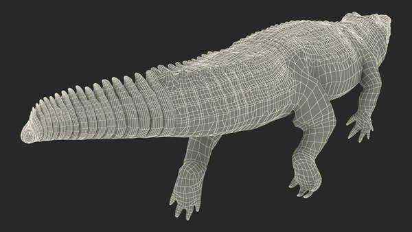 Crocodile swiming animal rigged 3D model - TurboSquid 1447339