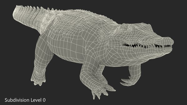 Crocodile swiming animal rigged 3D model - TurboSquid 1447339