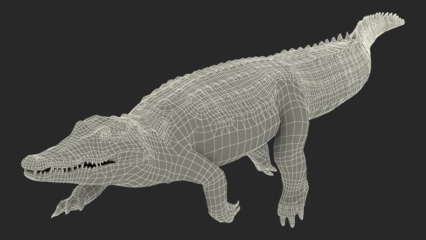 Crocodile swiming animal rigged 3D model - TurboSquid 1447339