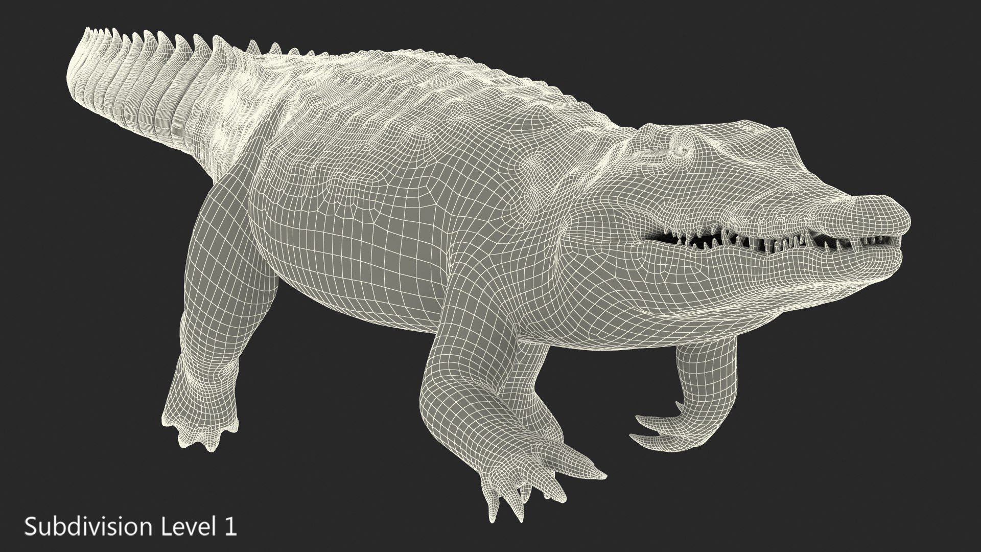 Crocodile Swiming Animal Rigged 3D Model - TurboSquid 1447339