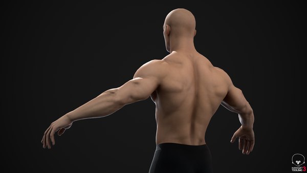 Muscle man 3D model - TurboSquid 1752713