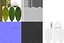 Bucephalandra