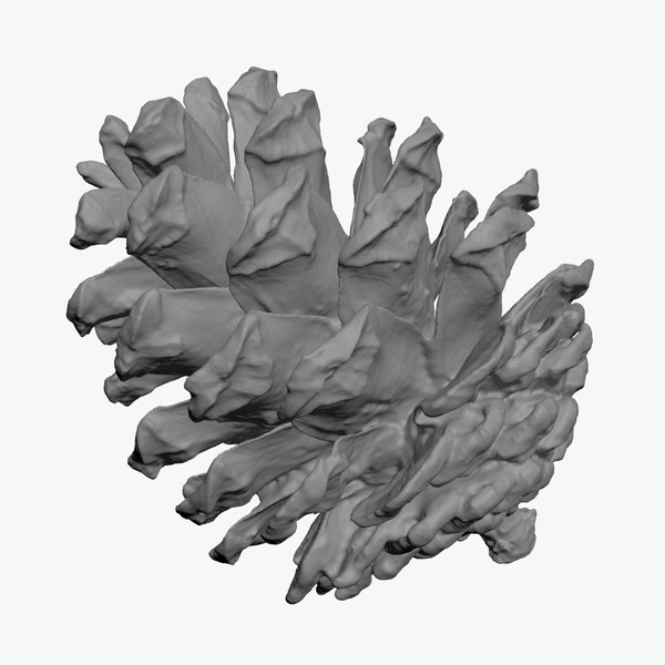 modelo 3d Piña 03 Impresión 3D - TurboSquid 2292308