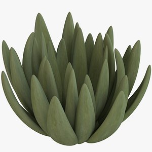 3d model of ice plant ground cover