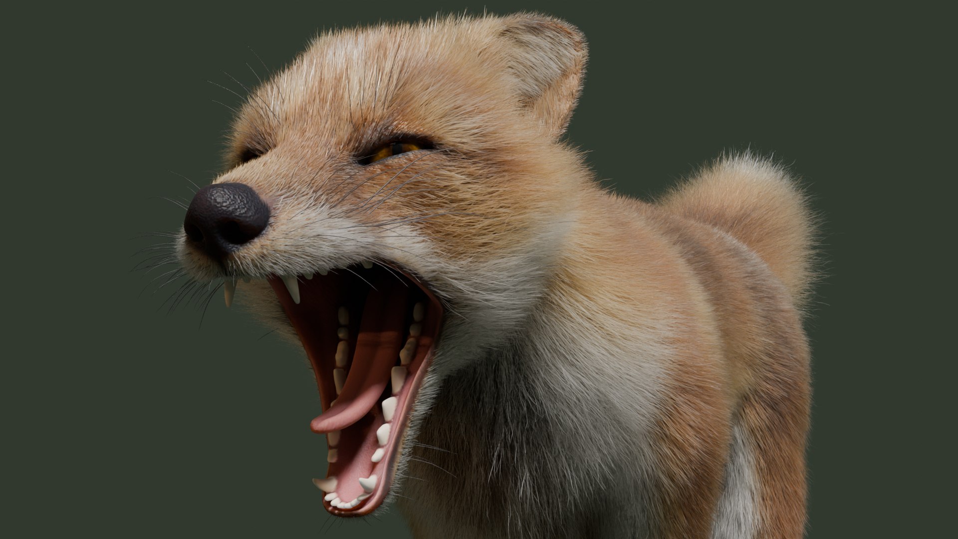 3D Japanese Red Fox - TurboSquid 2326171