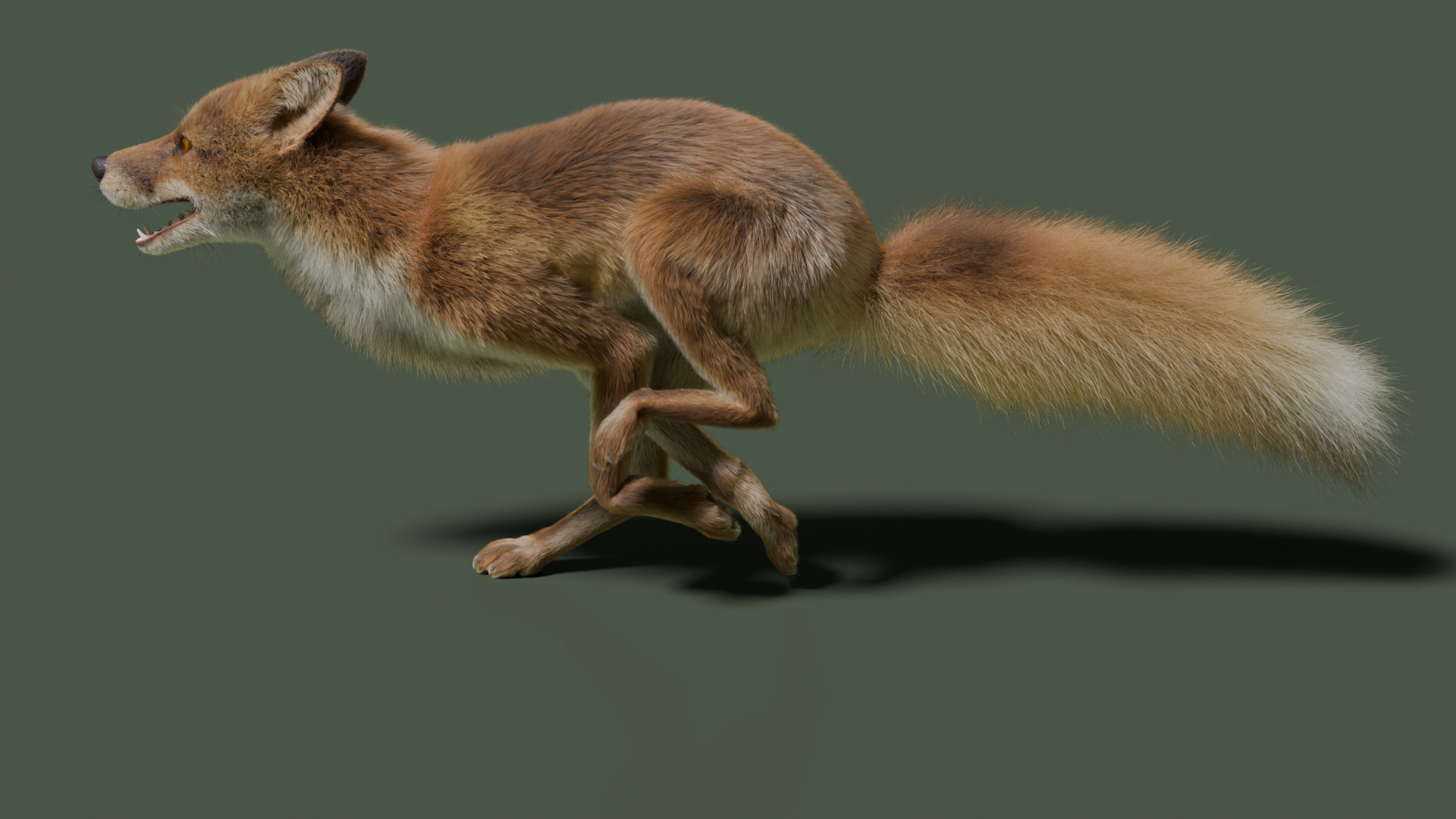 3D Japanese Red Fox - TurboSquid 2326171