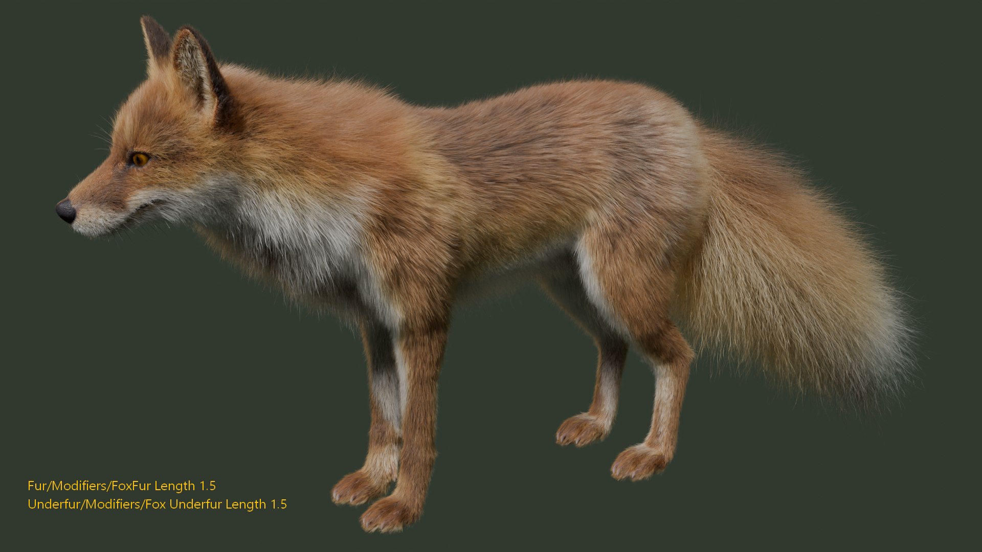 3D Japanese Red Fox - TurboSquid 2326171