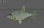 3D model Bream