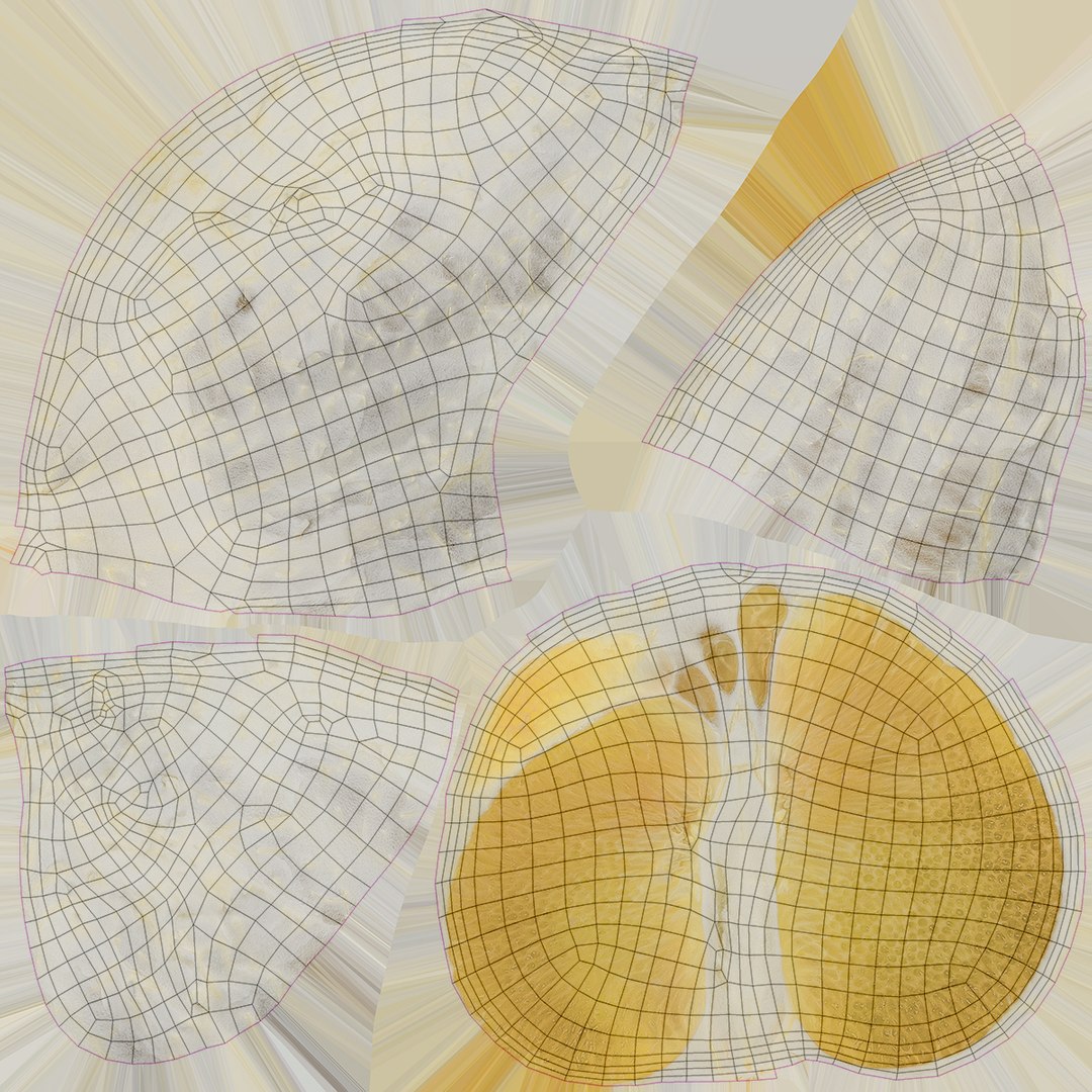 Fruit Slice Collection 5 3D https://p.turbosquid.com/ts-thumb/bW/MD2hyd/Bs/redpomelohalfpeeled_d0004/jpg/1662823116/1920x1080/fit_q87/9bc0cd97a8bb6671ae15e8630241e8fbf2ed5197/redpomelohalfpeeled_d0004.jpg