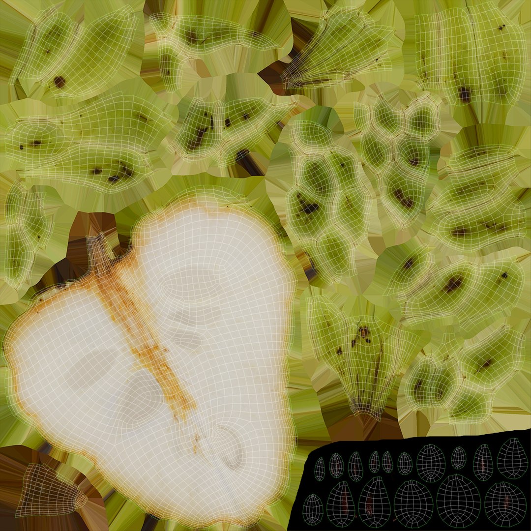Fruit Slice Collection 5 3D https://p.turbosquid.com/ts-thumb/bW/MD2hyd/Xx/cherimoyaslice_f0004/jpg/1662809560/1920x1080/fit_q87/0ee78507e6c748ee7c5c6cb7ec9bd9443d0cd54b/cherimoyaslice_f0004.jpg