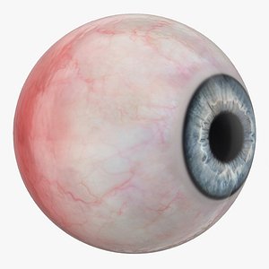Human Blue Eyeball 3D model