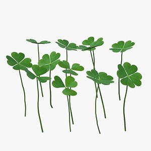 Green Clover Field