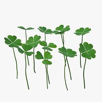 Green Clover Field