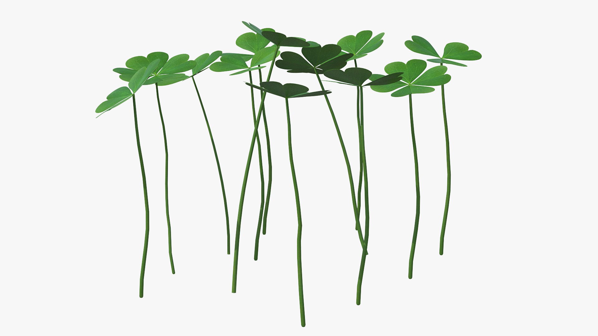 3D Model Green Clover Field - TurboSquid 1578120