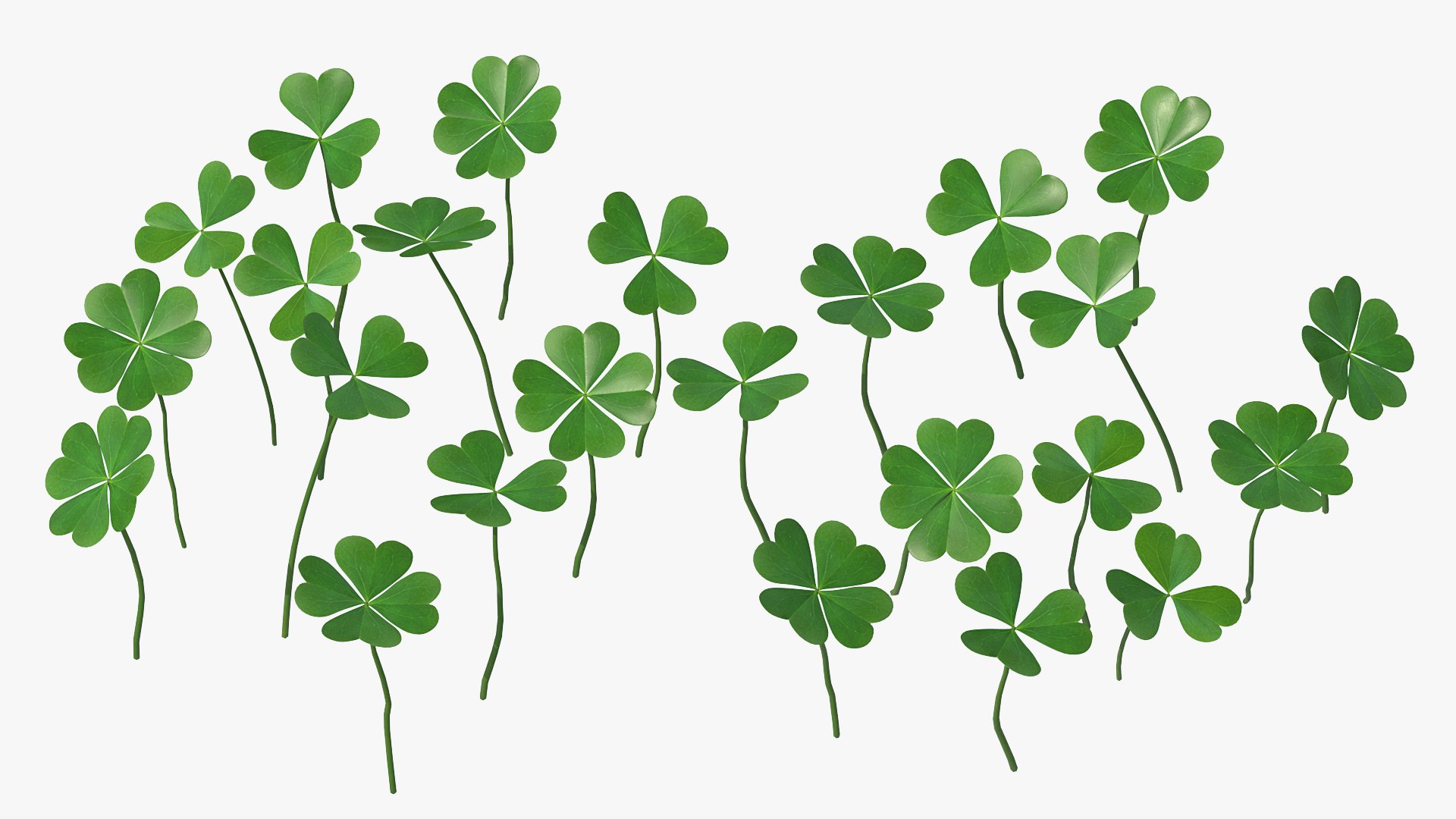 Green Clover Field 3D model preview