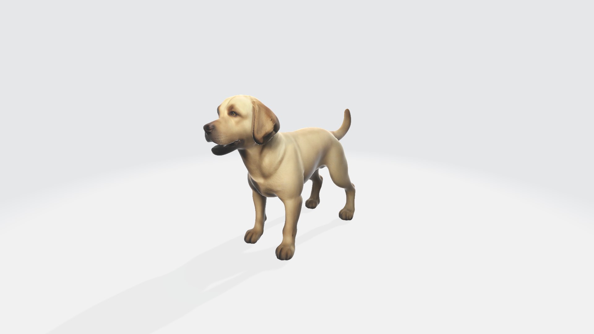 3D Portrait Of Golden Labrador Retriever Dog 3d Model Labrador ...