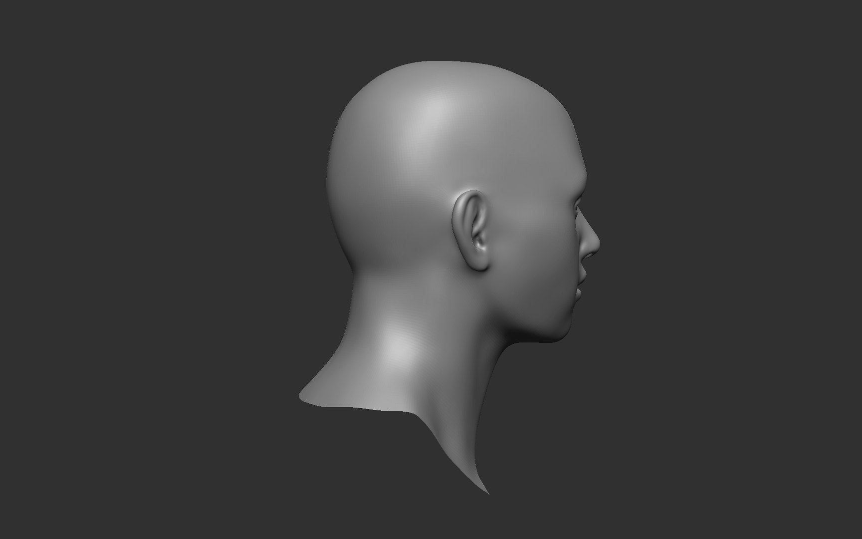 Female head base mesh 3D model https://p.turbosquid.com/ts-thumb/bW/lXVztv/5d/head023/jpg/1634964829/1920x1080/fit_q87/e679a4c40aea7f6461c51b1112da3b75a0f84e15/head023.jpg
