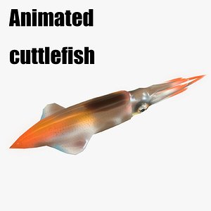 cuttlefish squid octopus inkfish model