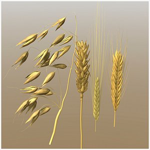 Grains