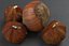 Hazel Nuts