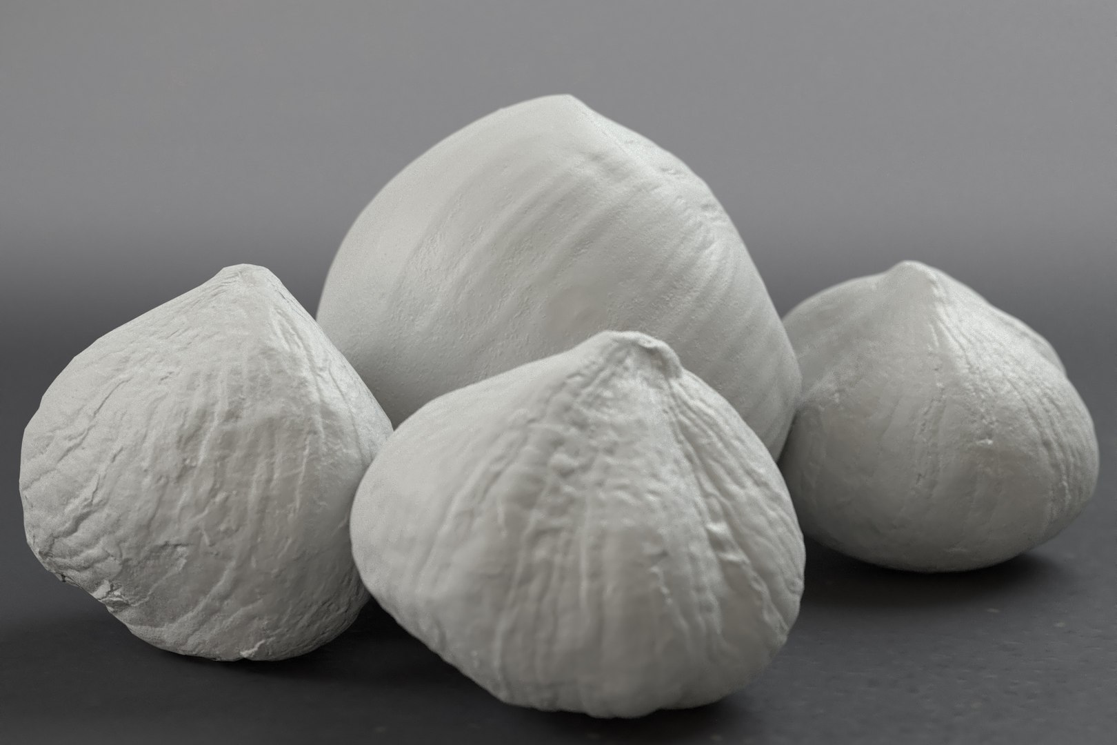 hazelnuts shell 3D model https://p.turbosquid.com/ts-thumb/bX/H3yuTR/7rmHRoi4/hazel3_grey/jpg/1550887479/1920x1080/fit_q87/a32eed4b1d1a8b0eeffb312bd7251cd91933b34b/hazel3_grey.jpg