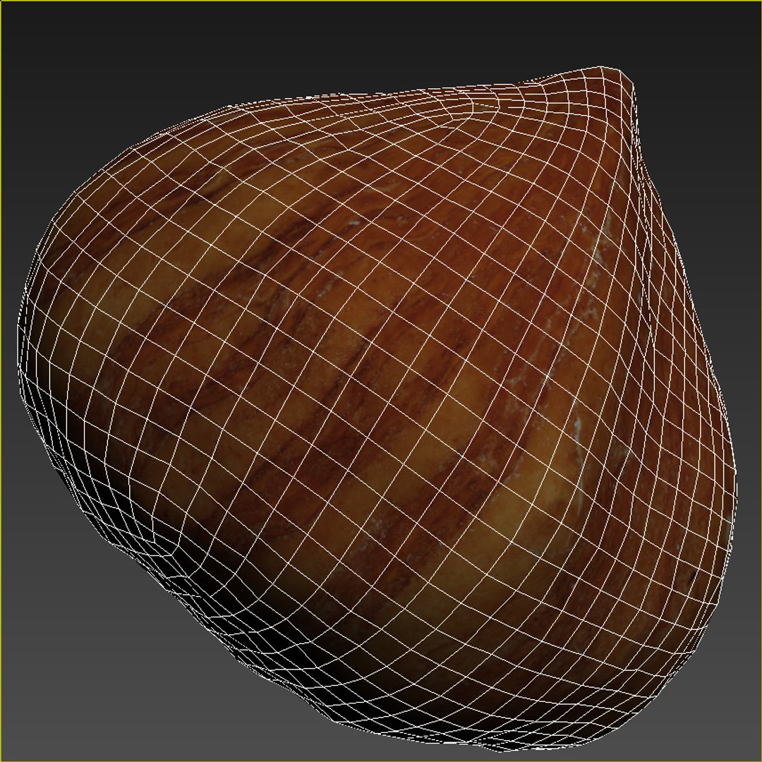 hazelnuts shell 3D model https://p.turbosquid.com/ts-thumb/bX/H3yuTR/FBB02SkQ/wire2/jpg/1550888161/1920x1080/fit_q87/a40db0099eb64e8c13fed1410c35ce27232de92f/wire2.jpg