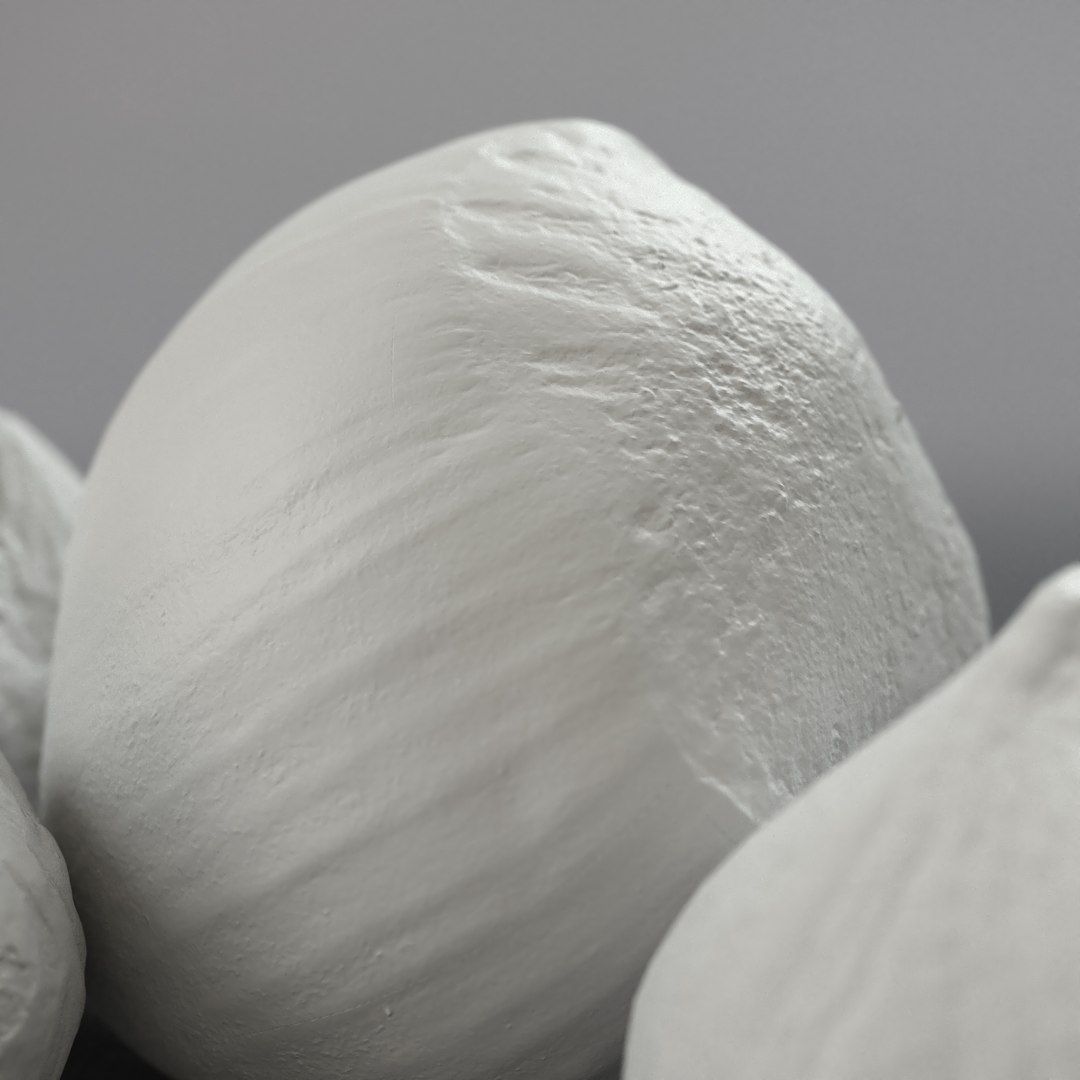 hazelnuts shell 3D model https://p.turbosquid.com/ts-thumb/bX/H3yuTR/JhIo41JU/hazel6_grey/jpg/1550887479/1920x1080/fit_q87/b5ef9850e51de44f8f4ae8d895df138b5de8dbdf/hazel6_grey.jpg