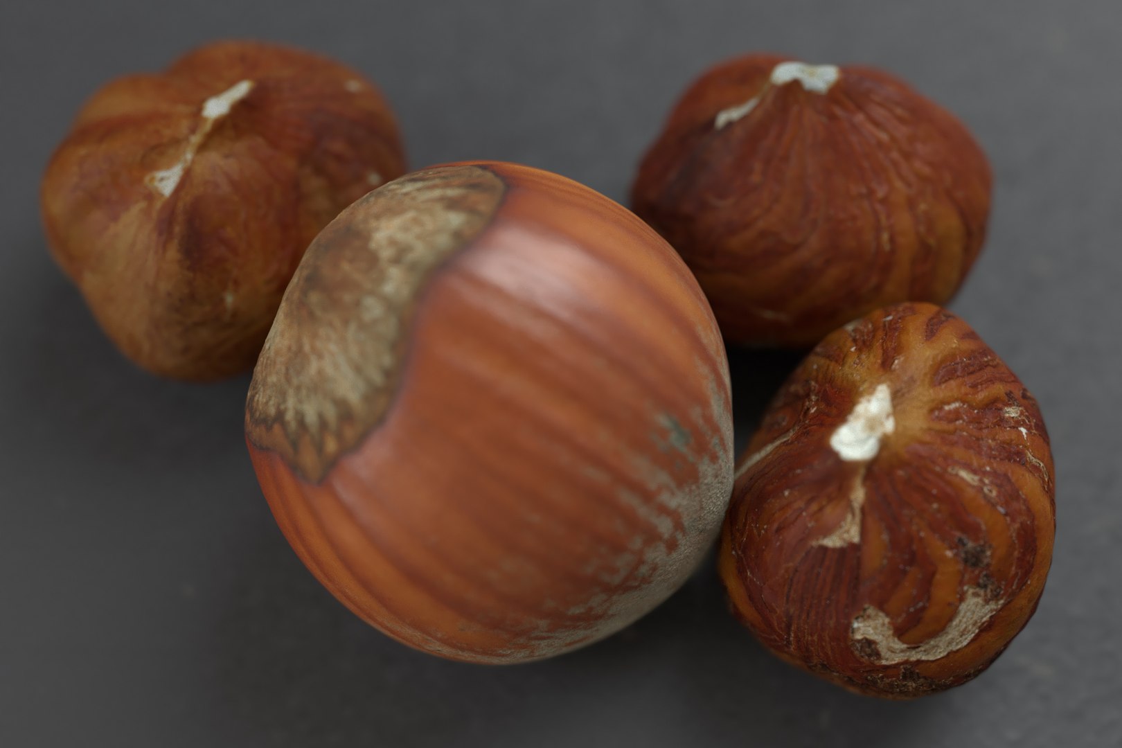 hazelnuts shell 3D model https://p.turbosquid.com/ts-thumb/bX/H3yuTR/JrQsg19q/hazel1/jpg/1550887479/1920x1080/fit_q87/cf3212de72b67a72ed6ddee01132d9bd1d8d4ecc/hazel1.jpg