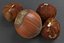 Hazel Nuts