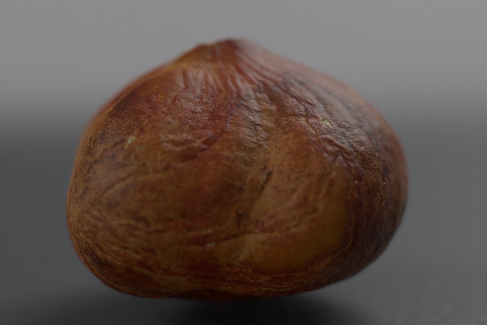 hazelnuts shell 3D model https://p.turbosquid.com/ts-thumb/bX/H3yuTR/kBMEpTGn/hazel_one2/jpg/1550887479/1920x1080/fit_q87/e387b1064ed4f265fee43270e9d68642ffbdfcb5/hazel_one2.jpg