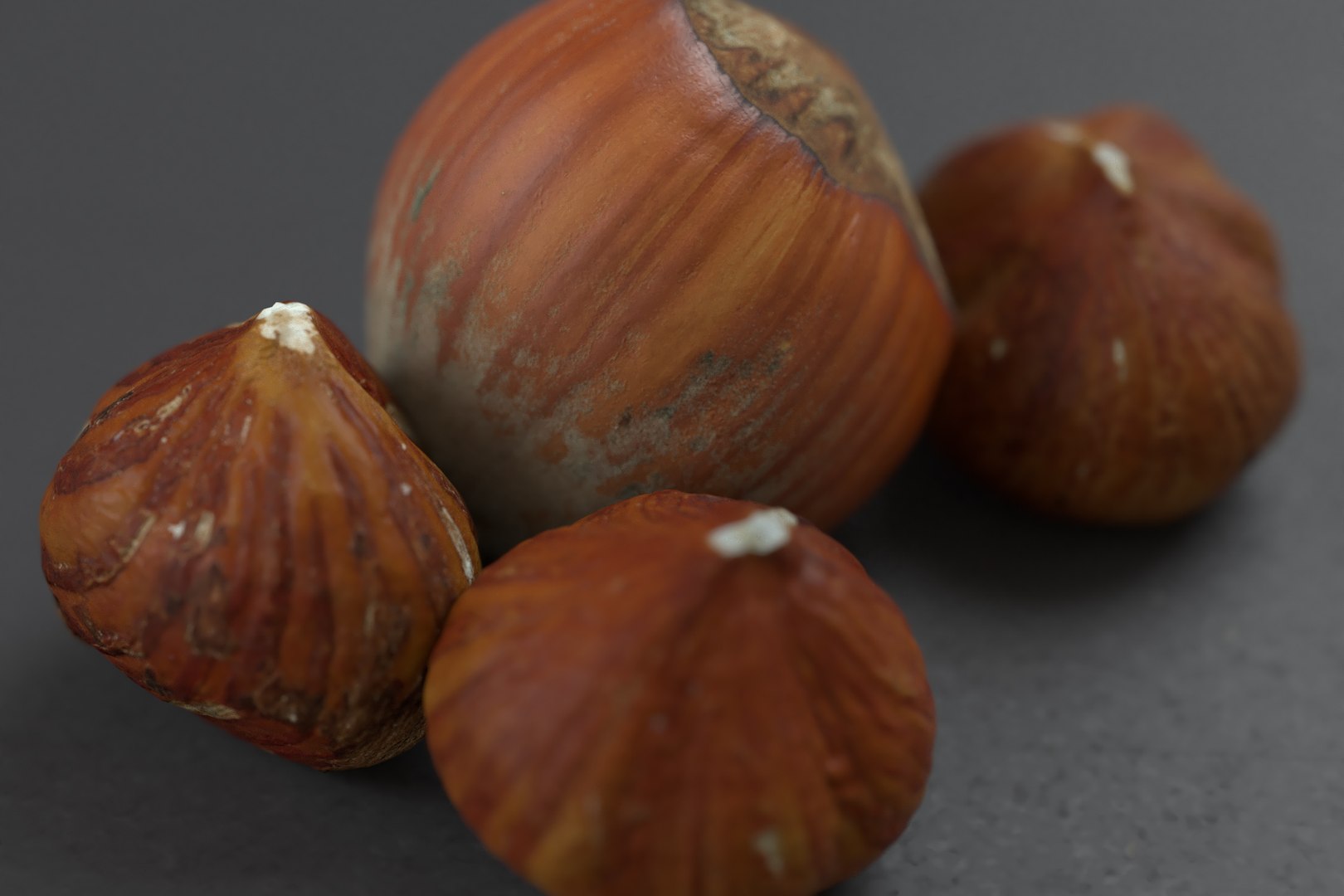 hazelnuts shell 3D model https://p.turbosquid.com/ts-thumb/bX/H3yuTR/qK856VGL/hazel2/jpg/1550887262/1920x1080/fit_q87/20c5d73c6b9afd2ecbafd8b8f6a23f118d3dc097/hazel2.jpg