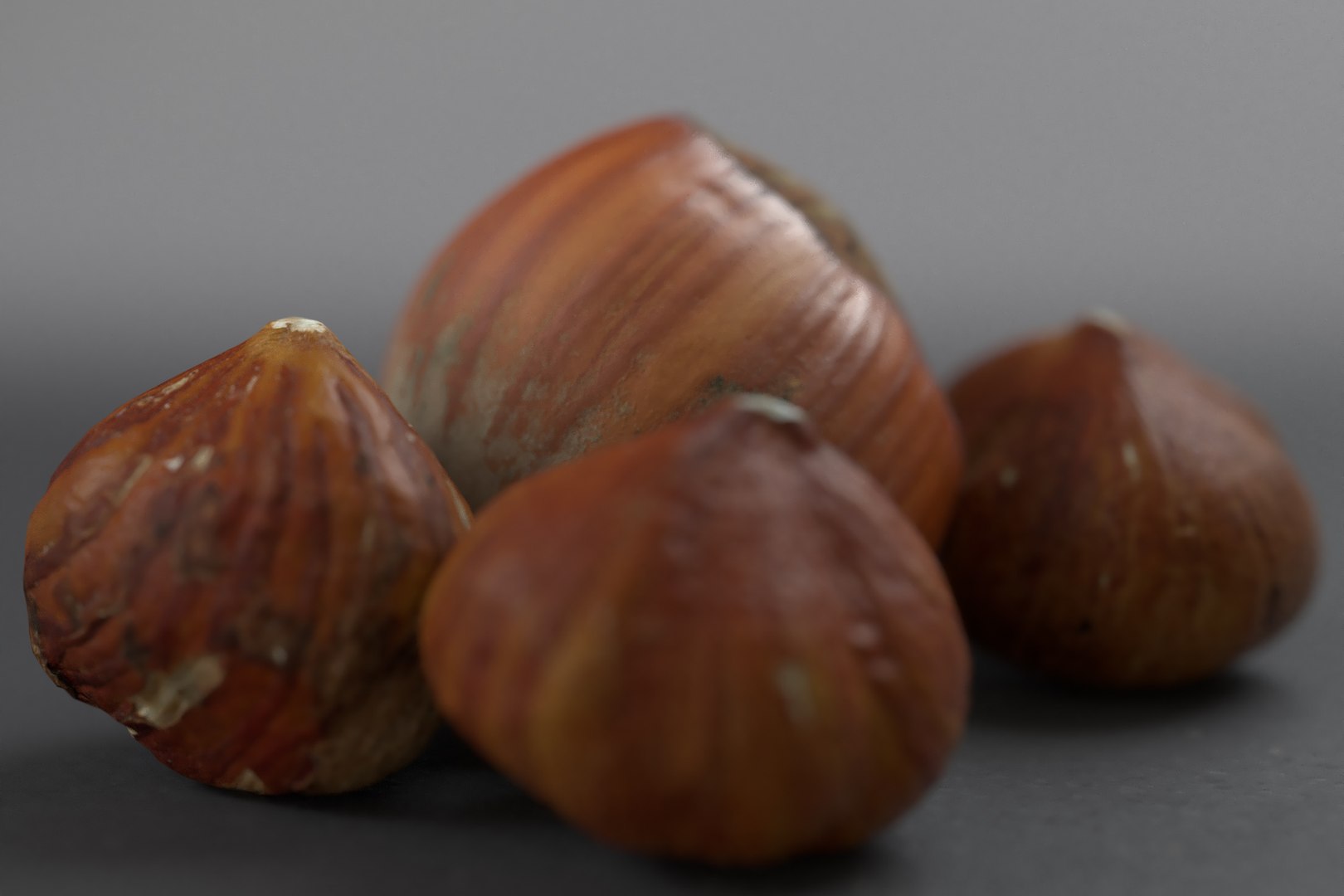 hazelnuts shell 3D model https://p.turbosquid.com/ts-thumb/bX/H3yuTR/tRgy2Zxn/hazel3/jpg/1550887479/1920x1080/fit_q87/0173ab6c2589ef968a871280f0895f9992892882/hazel3.jpg