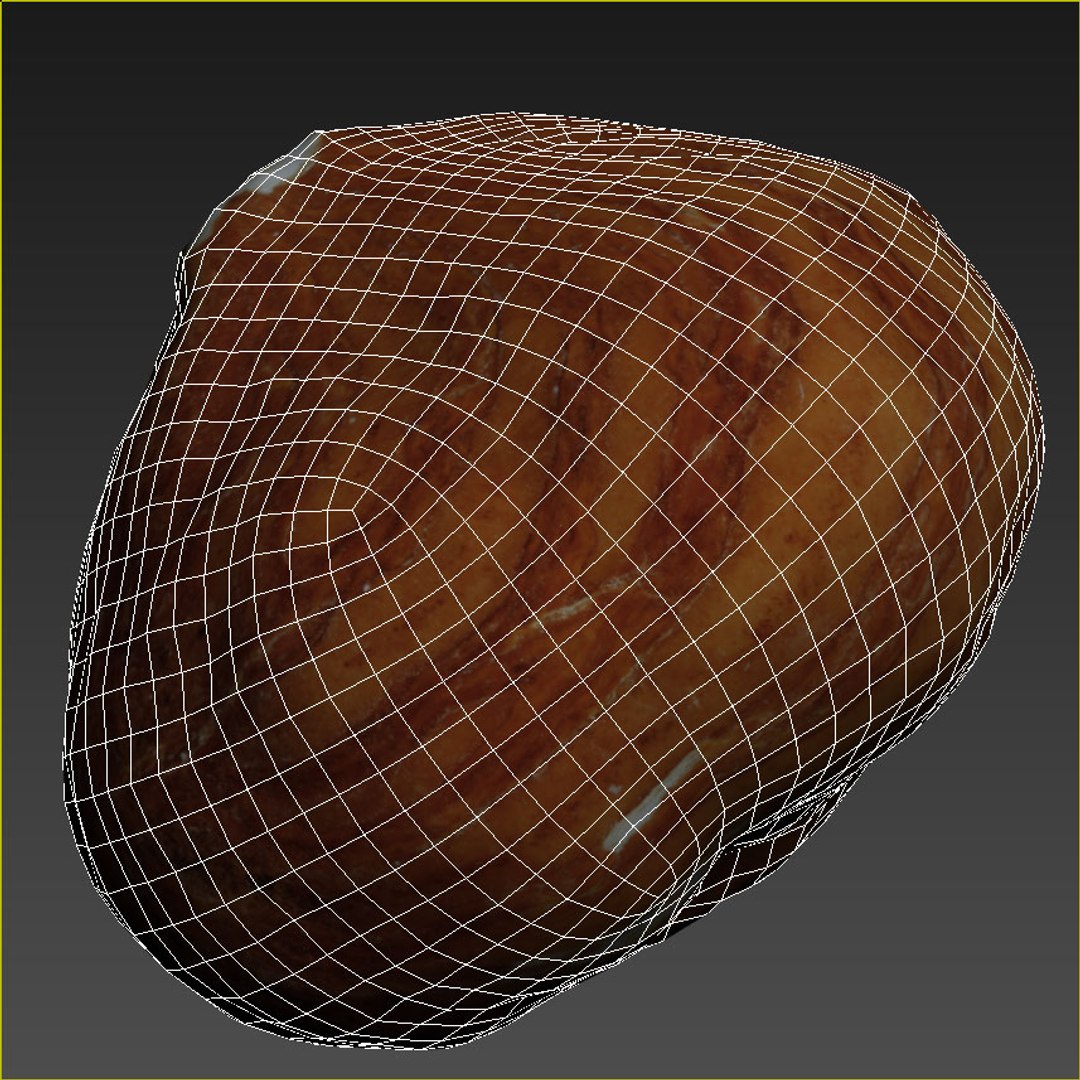 hazelnuts shell 3D model https://p.turbosquid.com/ts-thumb/bX/H3yuTR/u00hk0V1/wire1/jpg/1550888161/1920x1080/fit_q87/da90ad1c4ed996c44af655b2c9fd49ec6f5862db/wire1.jpg