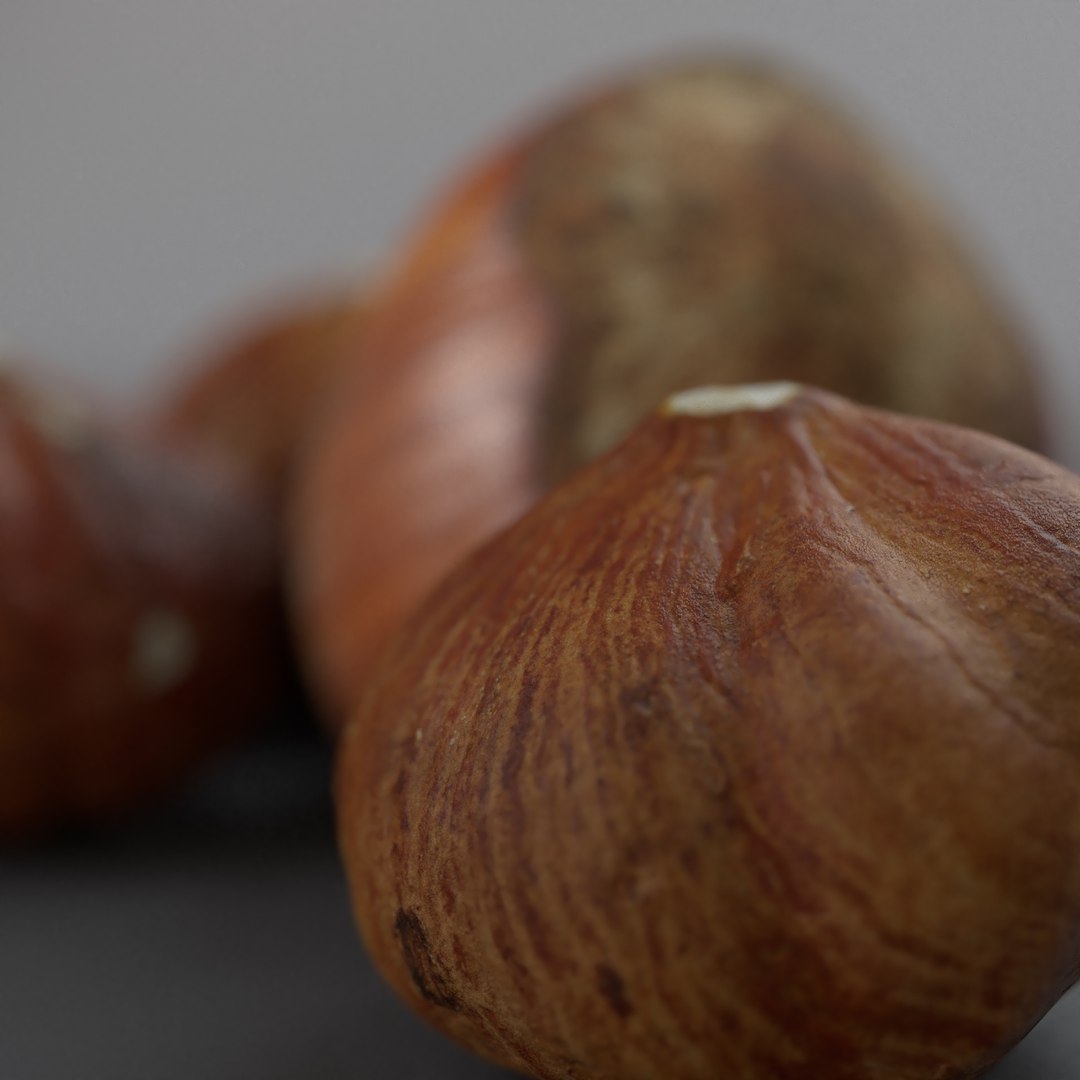 hazelnuts shell 3D model https://p.turbosquid.com/ts-thumb/bX/H3yuTR/uFClk6ns/hazel5/jpg/1550887479/1920x1080/fit_q87/1aacd4aad2e17d023693aa29c9c38864eb9ce663/hazel5.jpg