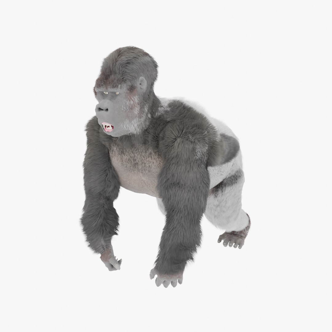 Free 3D Gorilla - TurboSquid 2210357