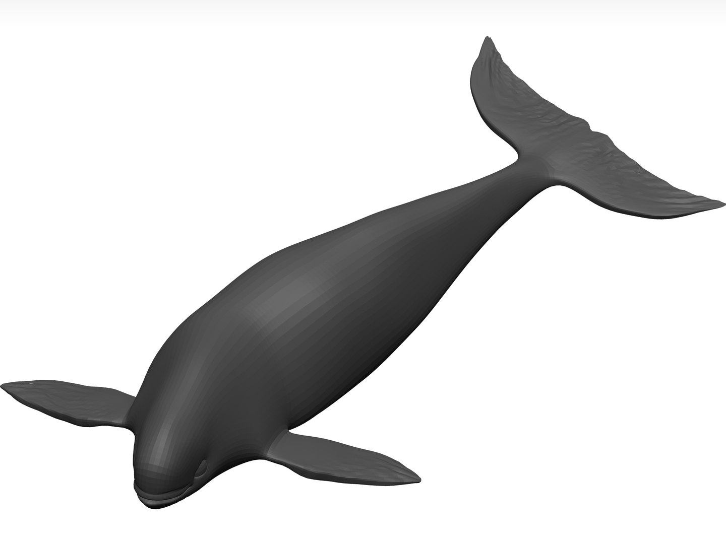 3D Whale Stl - TurboSquid 1774245