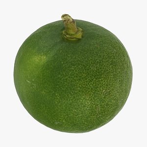 3D lime small